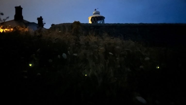 Row of glow-worms shining in the dark, outline of a lighthouse behind.